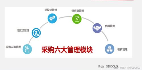 优秀采购管理的七大核心流程与模块 一张图掌握所有干货（含高风险运动项目专项解析）